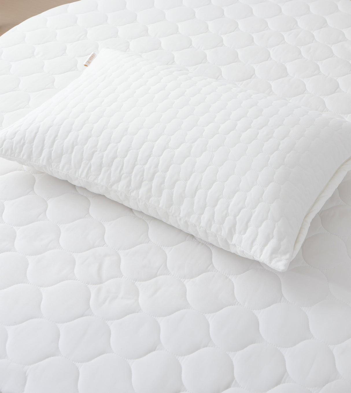 CASA-V 7A枕頭保護套 (A7100PWP19)