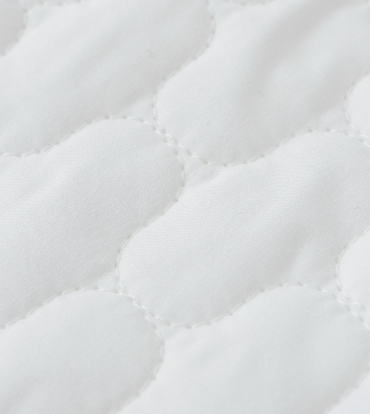 CASA-V 7A枕頭保護套 (A7100PWP19)