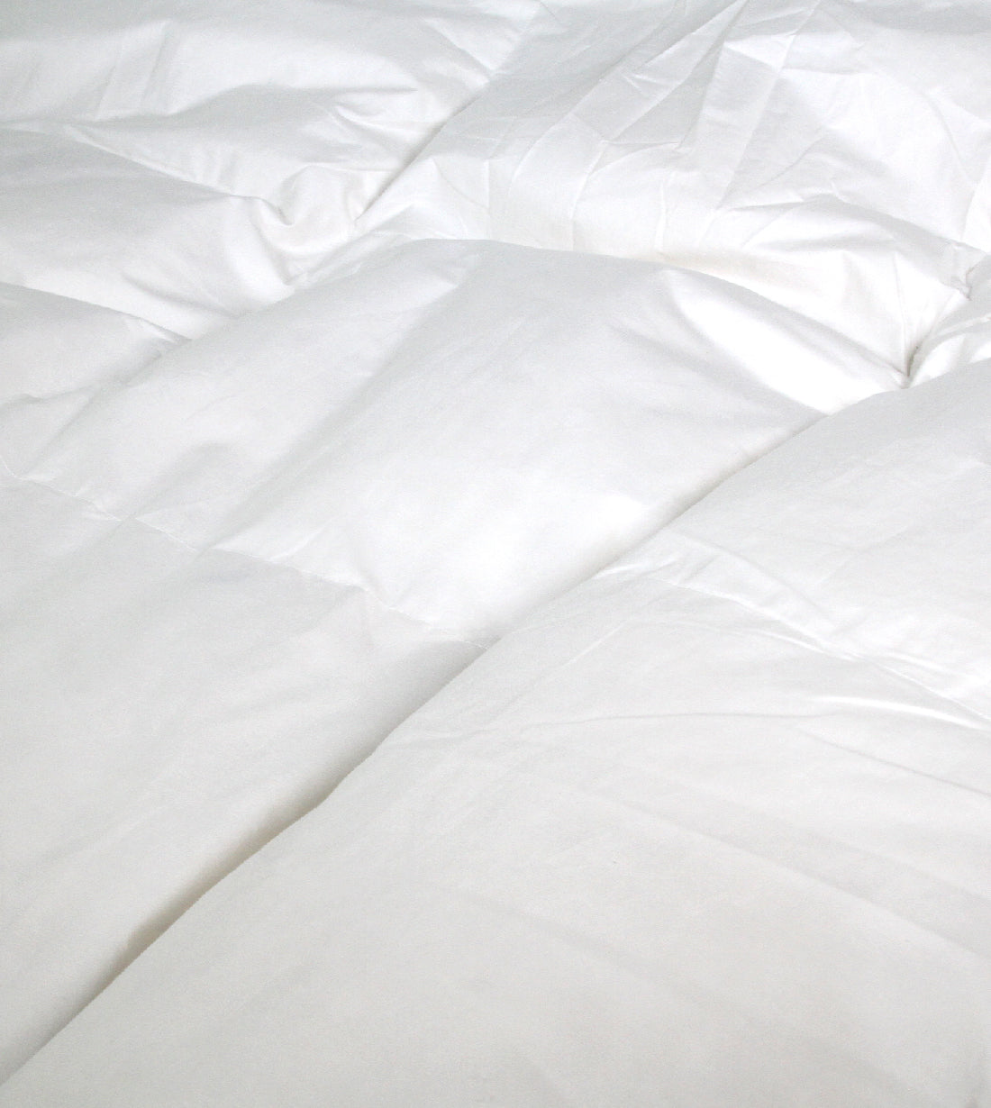 70% Poland Comfort Down Quilt (NP000PD7)