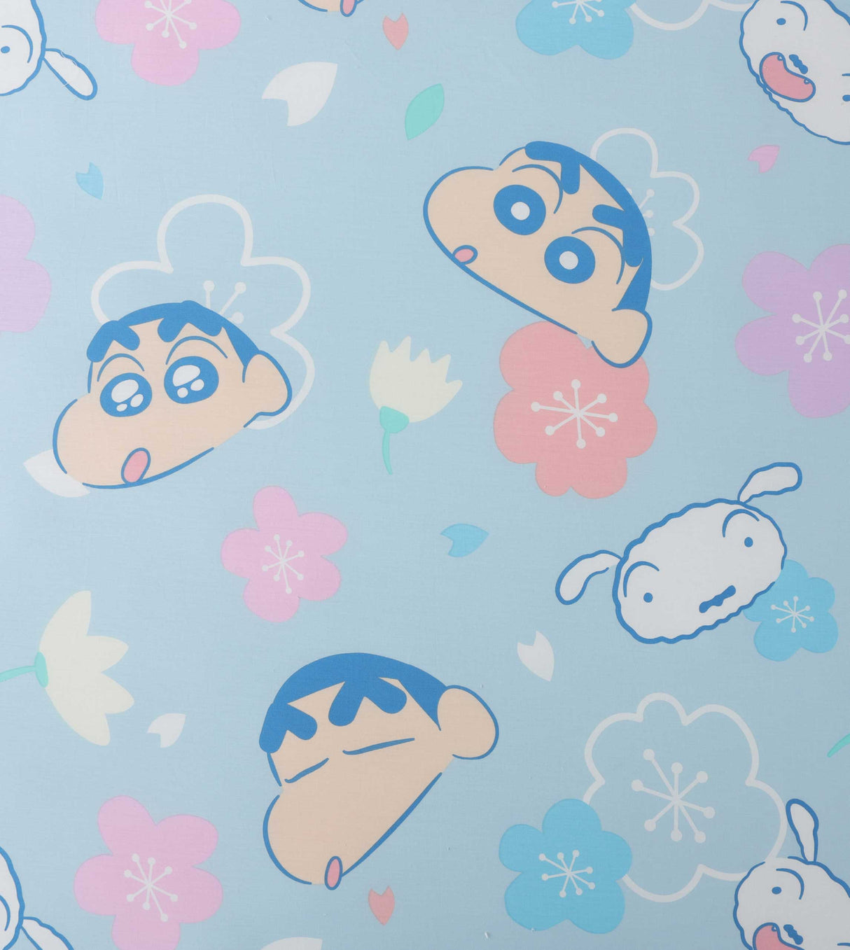 Crayon Shinchan Cotton Series (SC010FBBB)