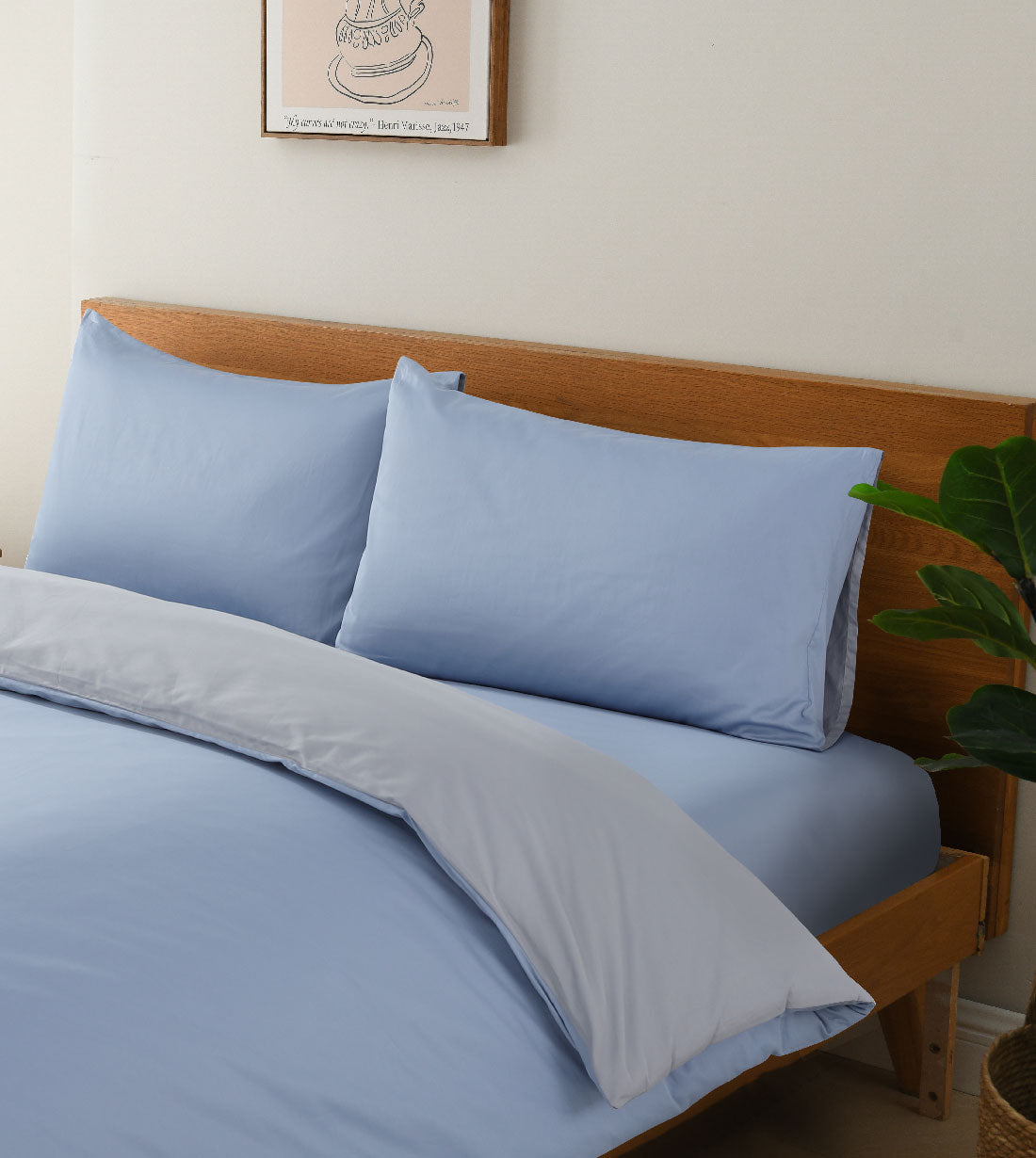 Sicili 1200 Threads Long-staple Cotton Solid Colour Series - Cerulean Blue with Diamond Grey (SP128)