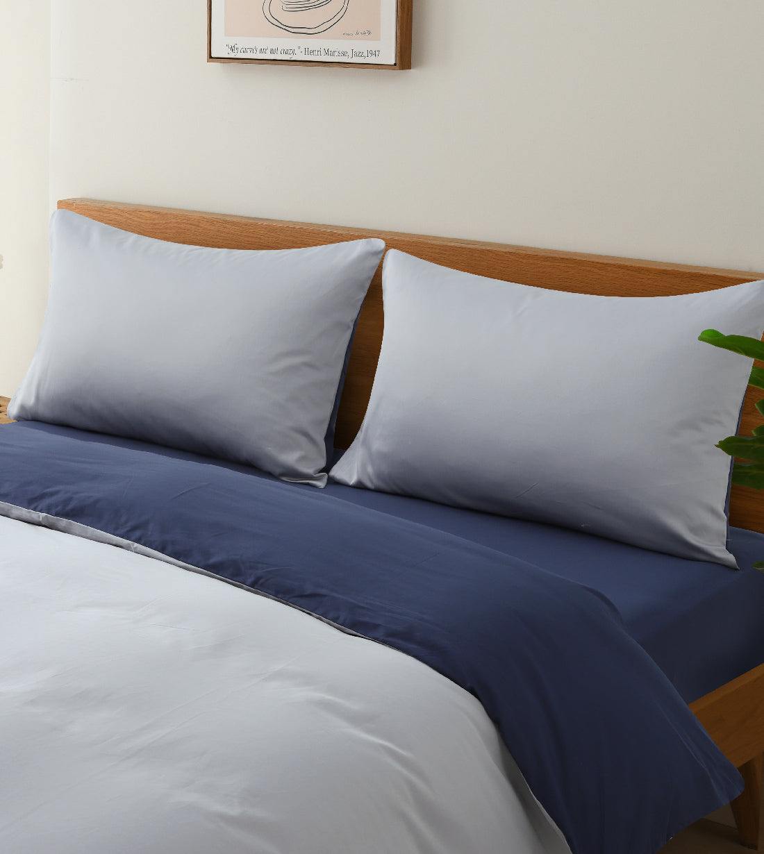 Sicili 1200 Threads Long-staple Cotton Solid Colour Series - Royal Blue with Elegant Grey (SP142)