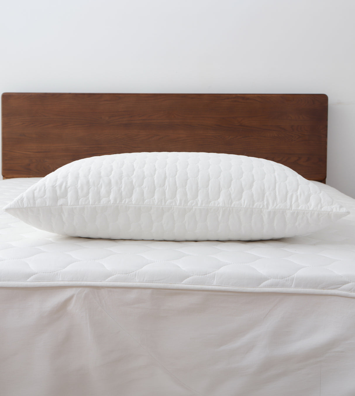 CASA-V 7A枕頭保護套 (A7100PWP19)