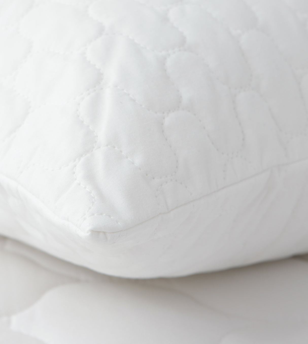 CASA-V 7A枕頭保護套 (A7100PWP19)