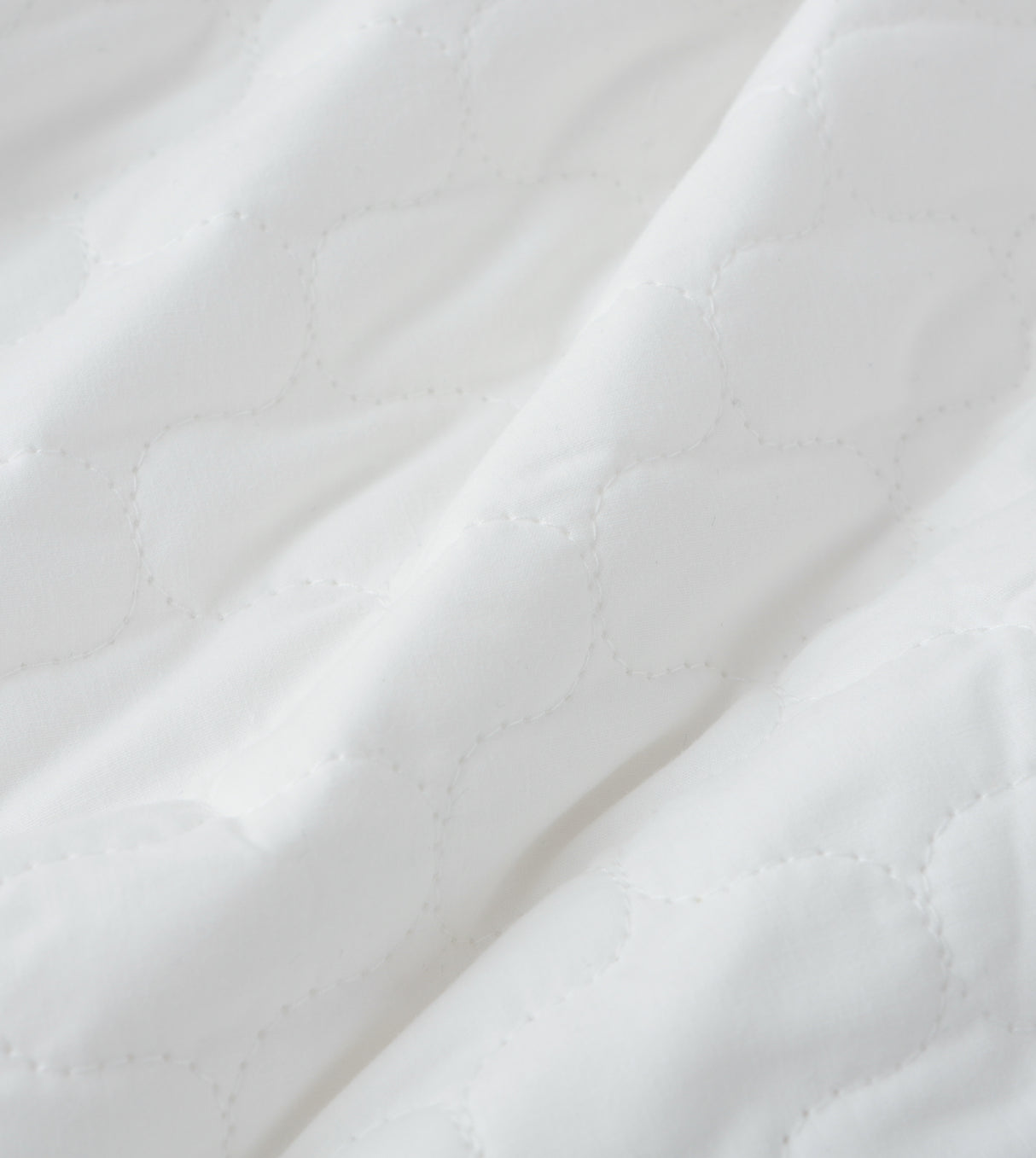 CASA-V 7A枕頭保護套 (A7100PWP19)