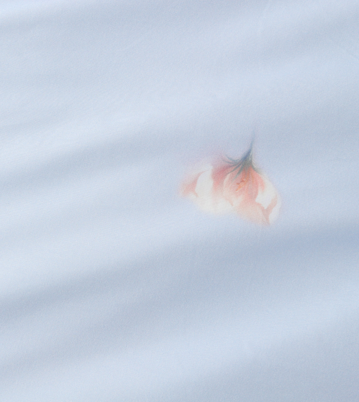 1300針幻影絲印花系列 (AE009)