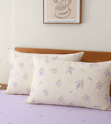 Massa Basic 820針純棉印花系列 (CB943)