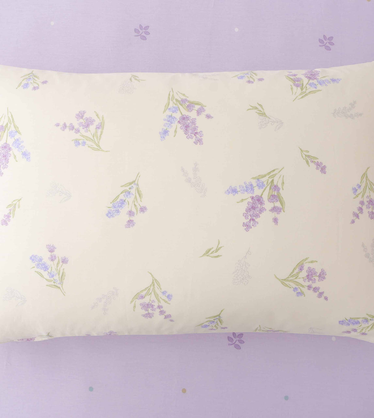 Massa Basic 820針純棉印花系列 (CB943)