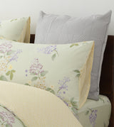 Massa 820針活性純棉印花系列 (CM396)