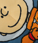 PEANUTS 輕柔冷氣被 (PN812SQQ)